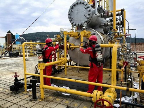 西南油气田剑门气田增压工程及消防工程一次性投运成功，保障能源安全新里程碑